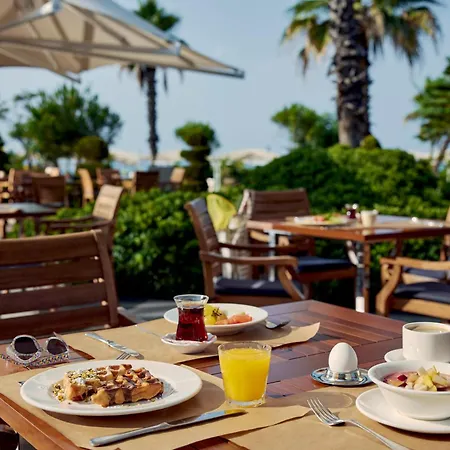 リゾート Tui Magic Life ベレキ