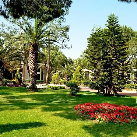 Tui Magic Life 5*